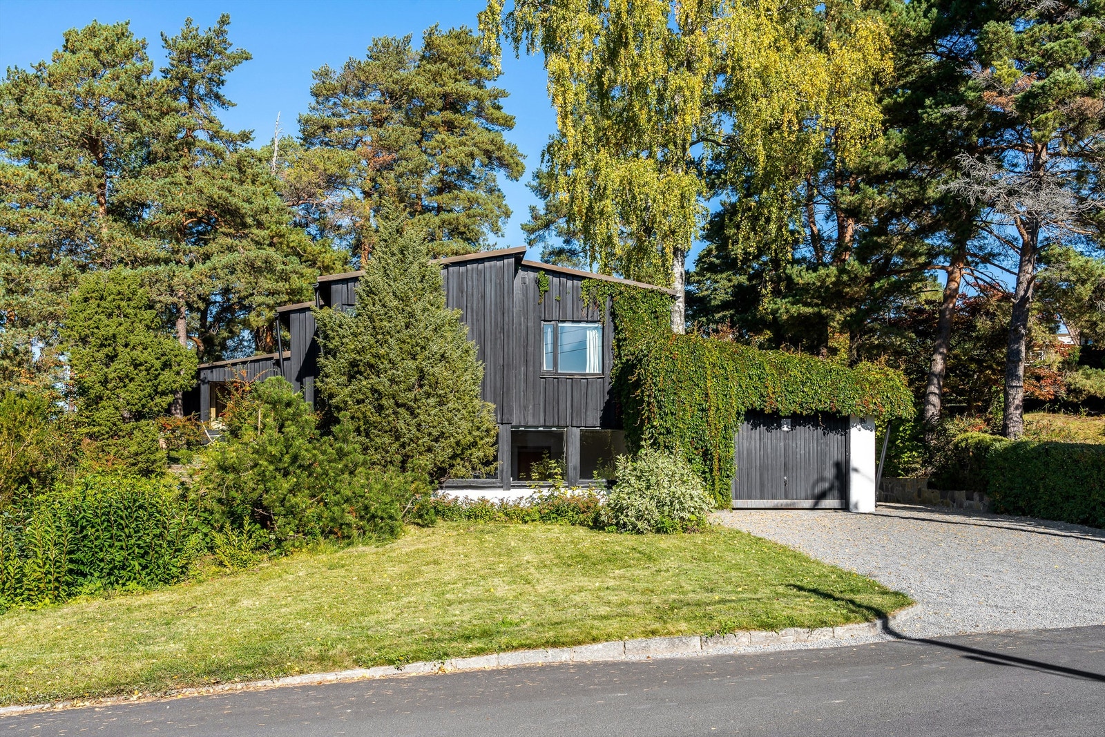 Fasade. Galleribilde