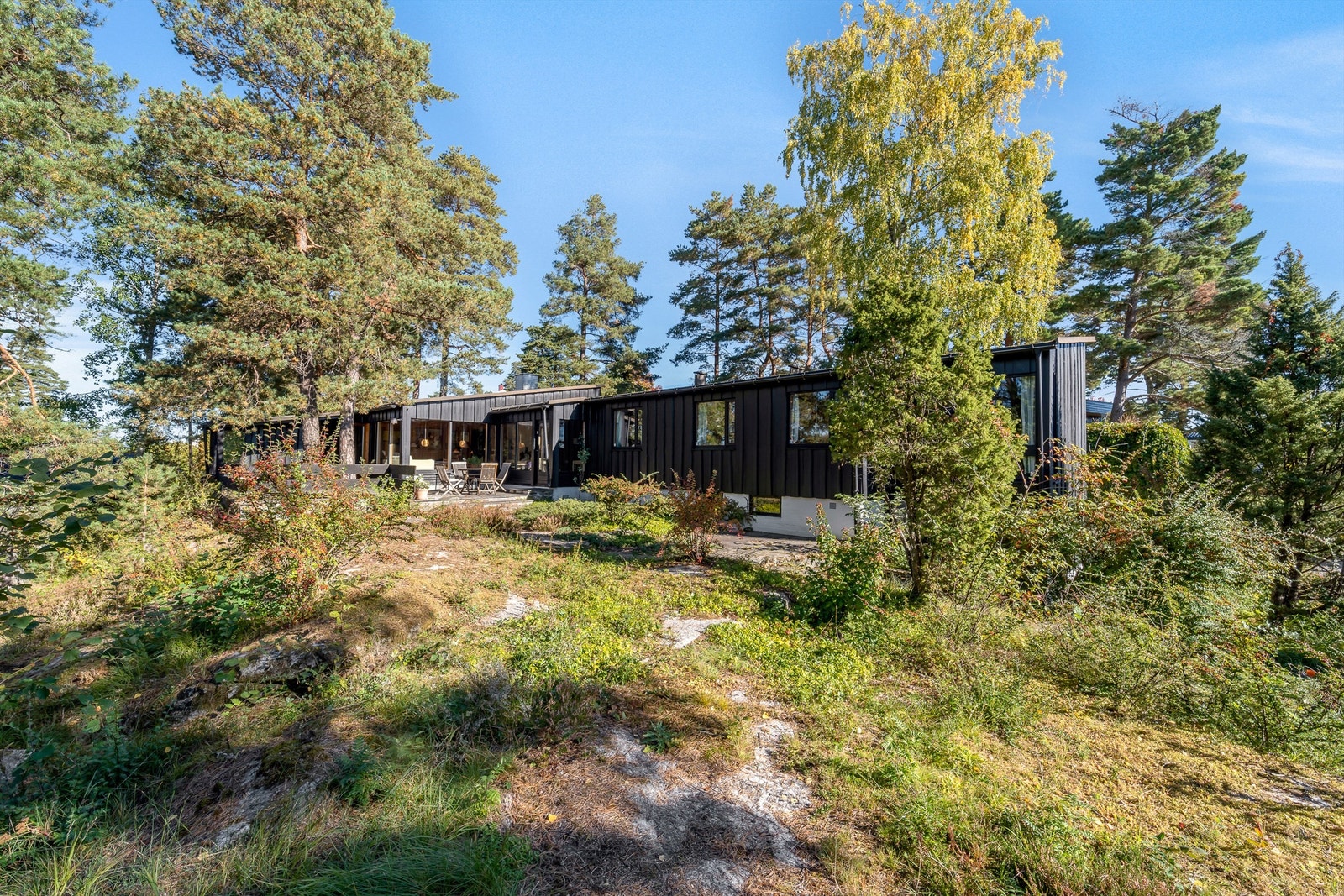 Fasade. Galleribilde