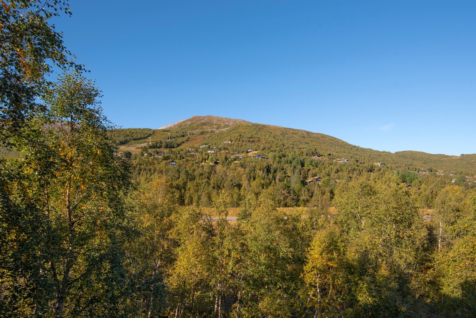 Flott utsikt mot Roalden fra hytta. Galleribilde