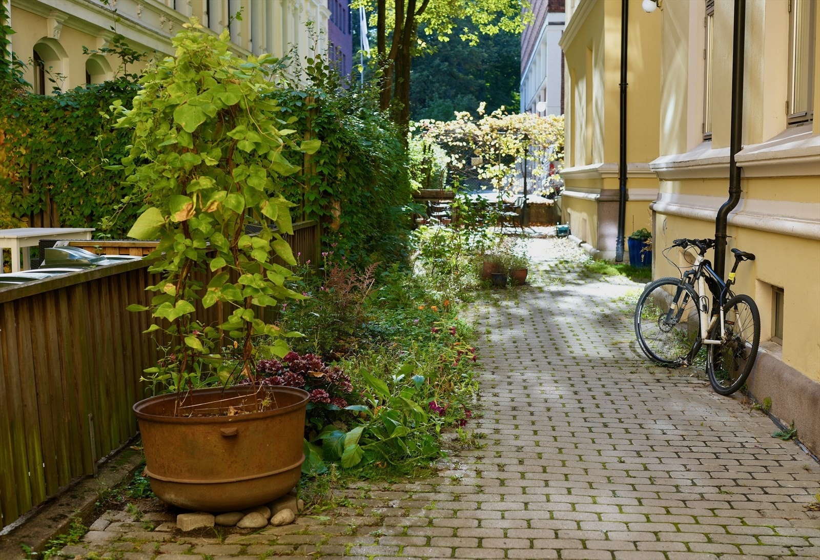 - Flott, felles bakgård - Galleribilde