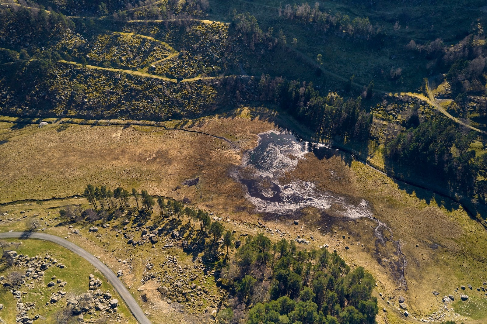 Tomten grenser til friområde mot sør. Galleribilde