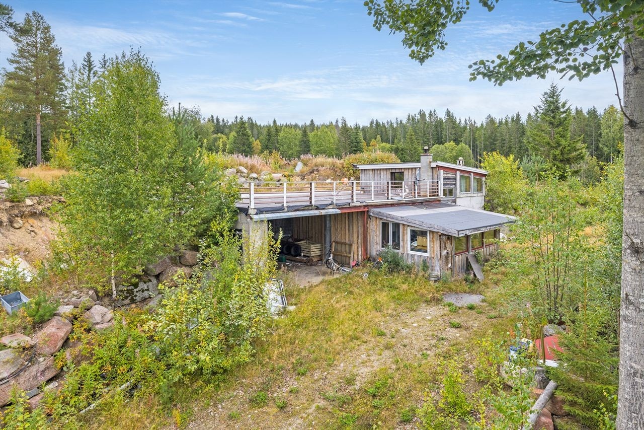 Sydvestvendt hellende tomt med noe flatpartier Galleribilde