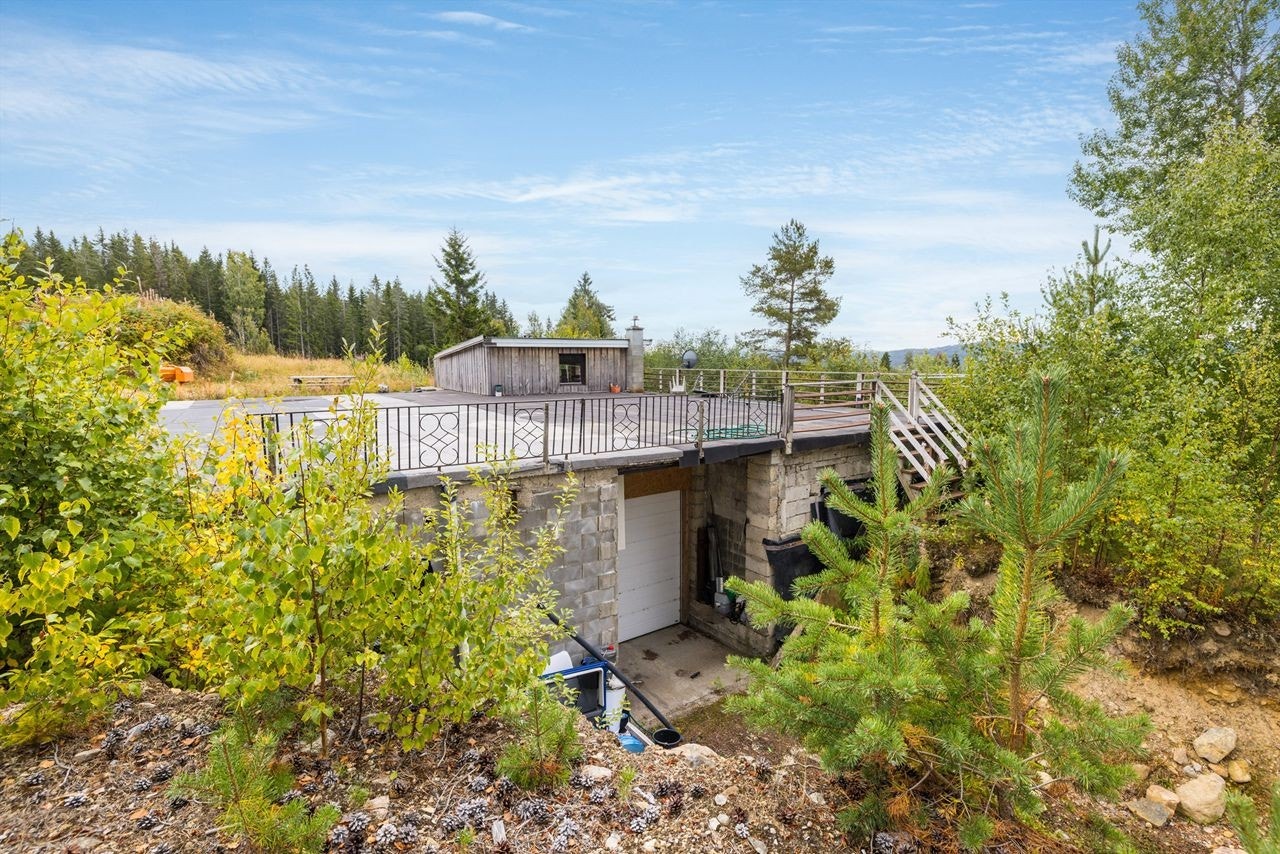 Hovedsakelig naturtomt med stedegen vegetasjon Galleribilde