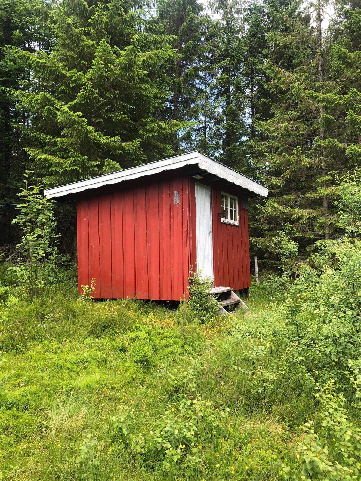 Uthus -seterbu (private bilder) Galleribilde