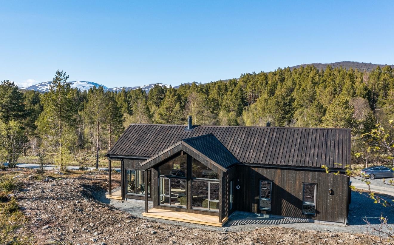 Området byr på flott utsikt mot sør, vest og nord. Området er bevokst med blandingsskog - lauv/furu, med bunnvegetasjon av lyng, gras og kratt. Galleribilde
