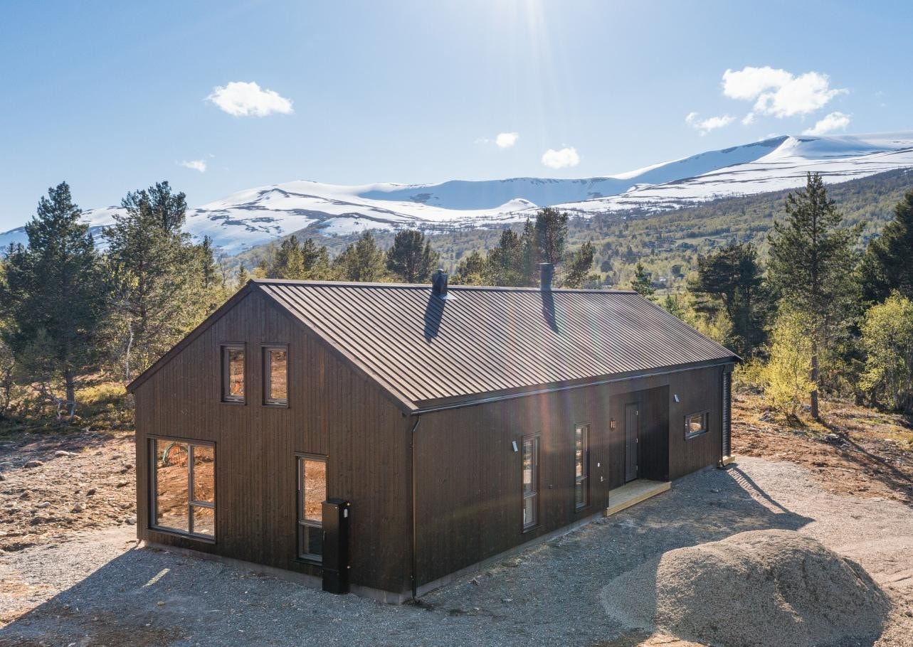 Oppdal byr på fantastiske turmuligheter både sommer og vinter. Om vinteren er det oppkjørte skiløyper like i nærheten av tomta. Galleribilde