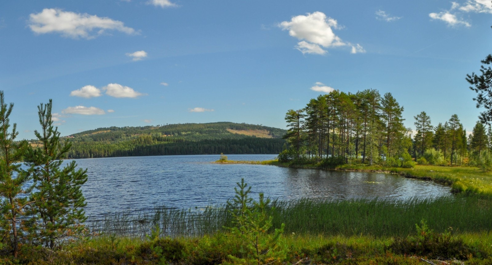 Alle tomtene har idyllisk plassering ved Trevatn hvor den mest attraktive strandsonen er urørt Galleribilde