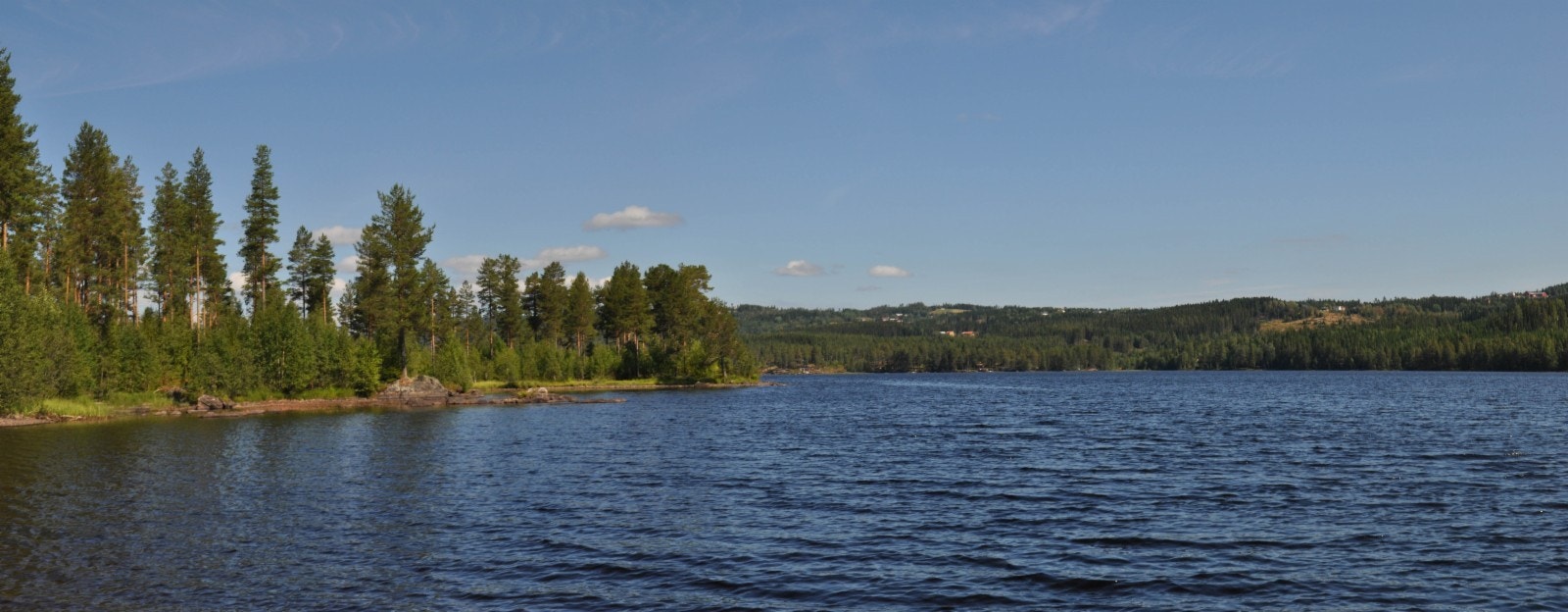Alle tomtene har idyllisk plassering ved Trevatn Galleribilde