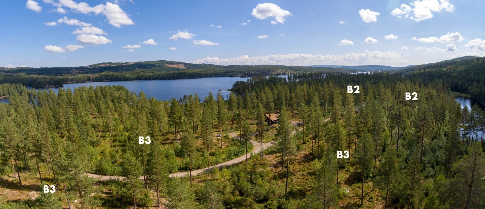 Mot sør-øst fra nord-enden av Vassendmoen Galleribilde