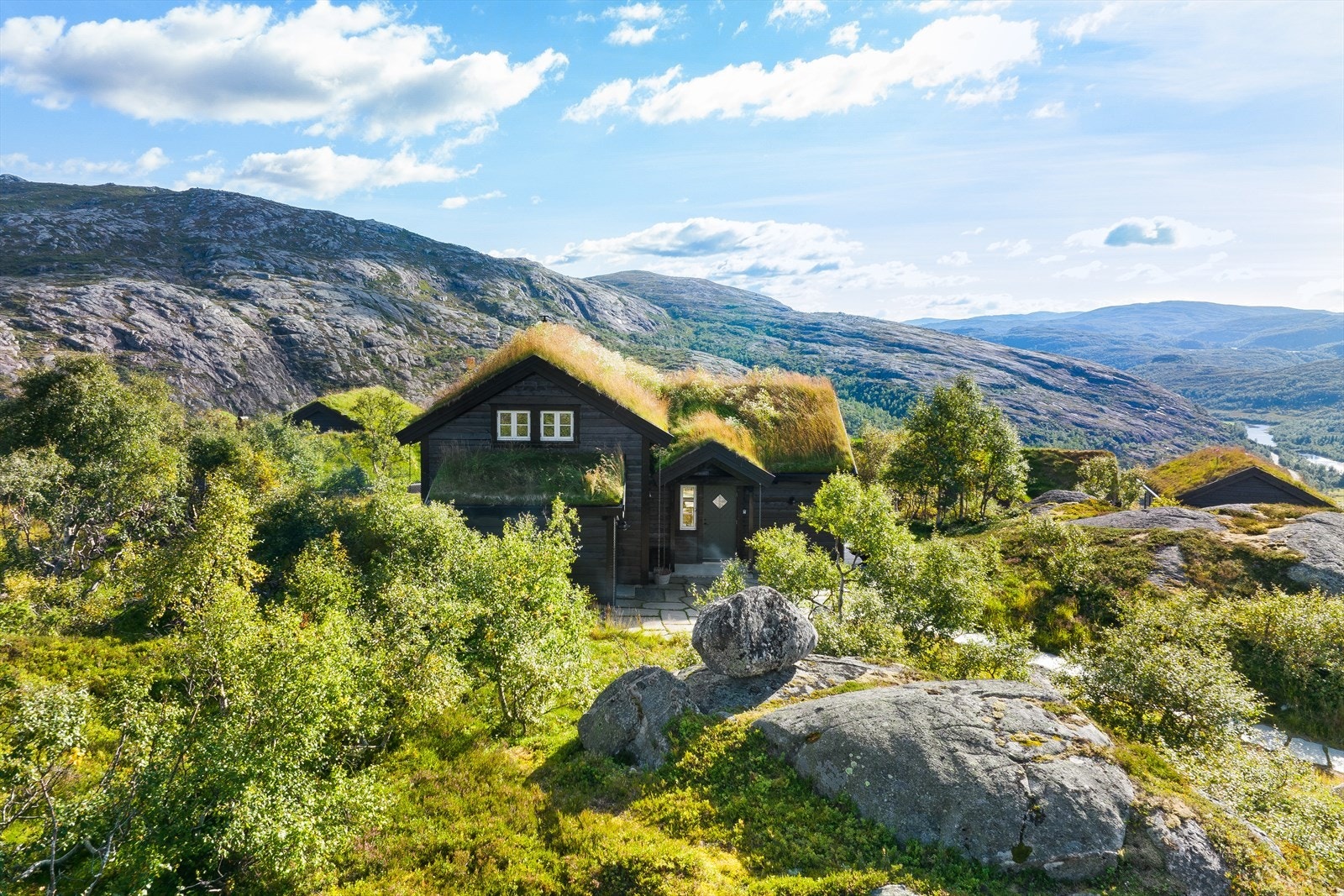 Hytten er omgitt av flott naturlig vegetasjon. Galleribilde