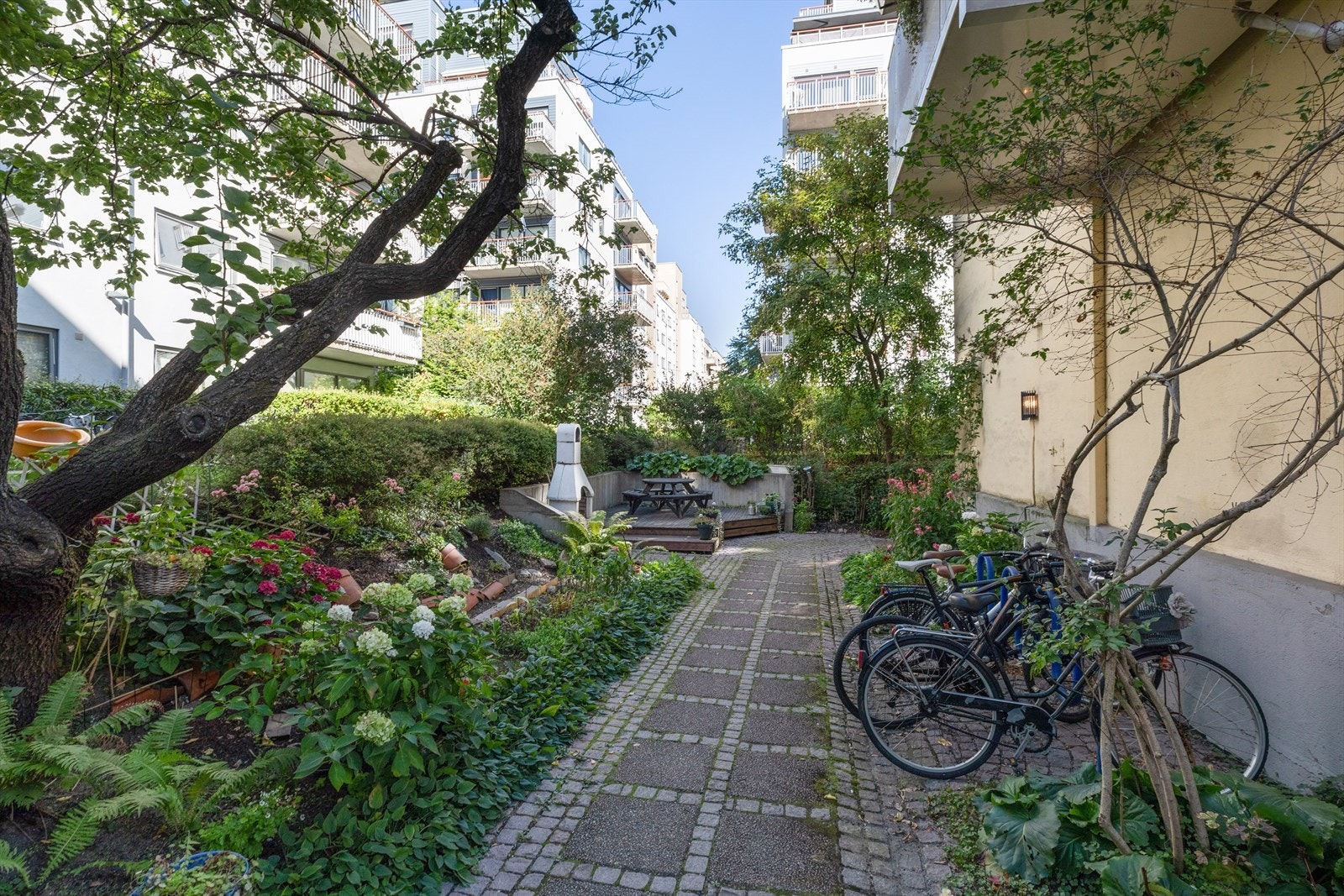 Hyggelig bakgård med sykkelstativ, benker, platting sittegruppe og beplantning. Galleribilde