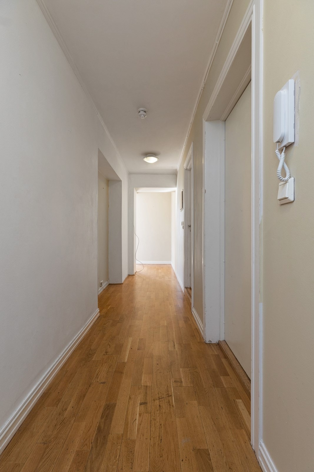 Velkommen til visning! Galleribilde