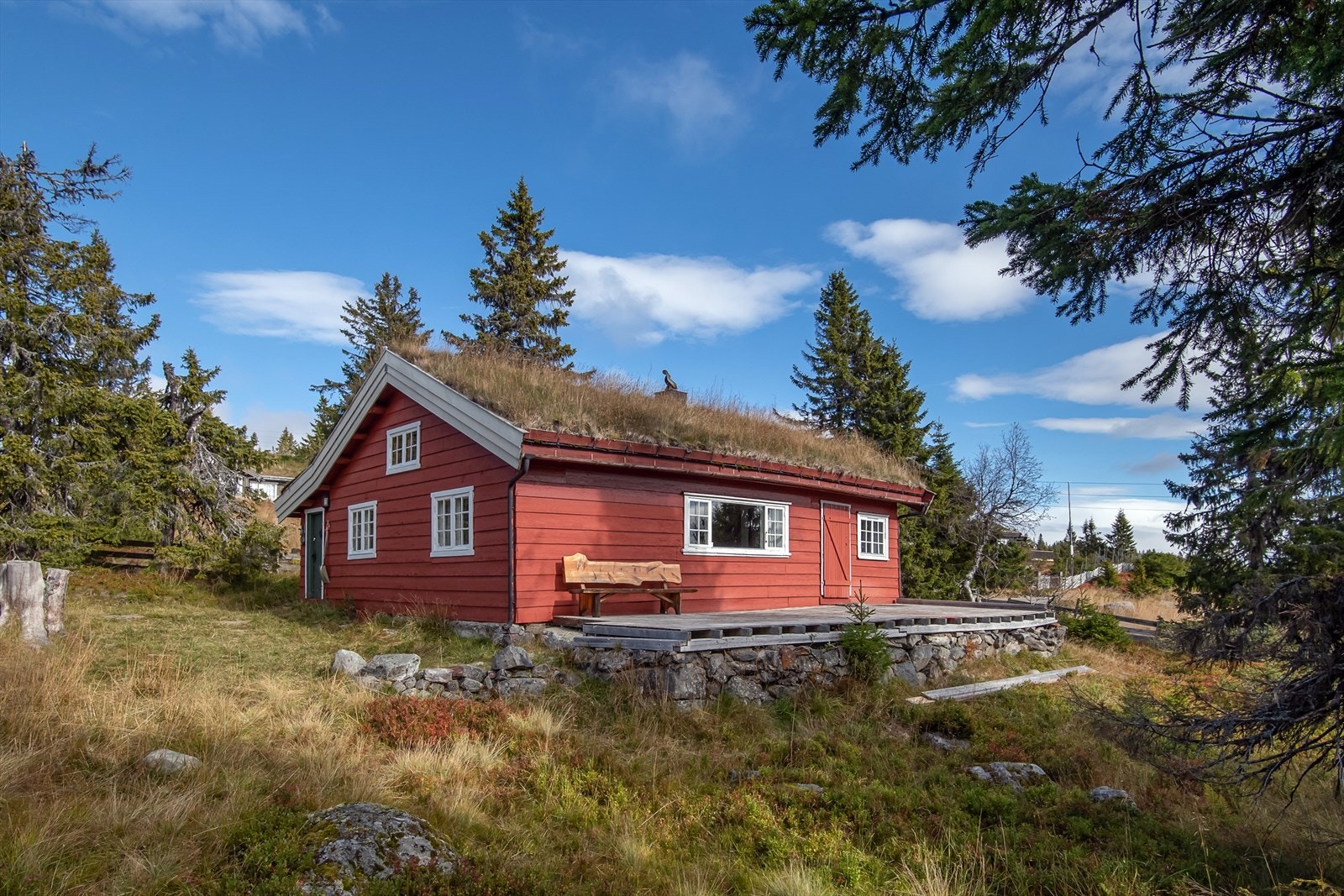 Fine og barnevennlige omgivelser rundt hytta. Galleribilde