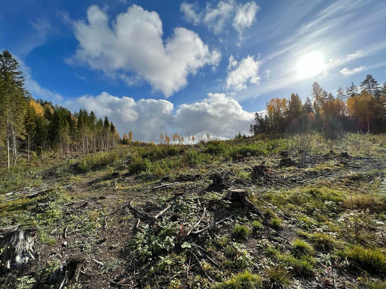 Området byr på fine naturopplevelser for stor og liten.