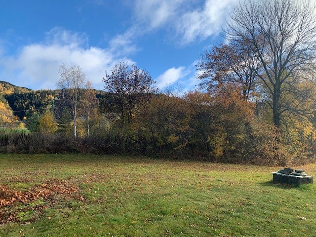 Tomten sett fra vest mot øst Galleribilde