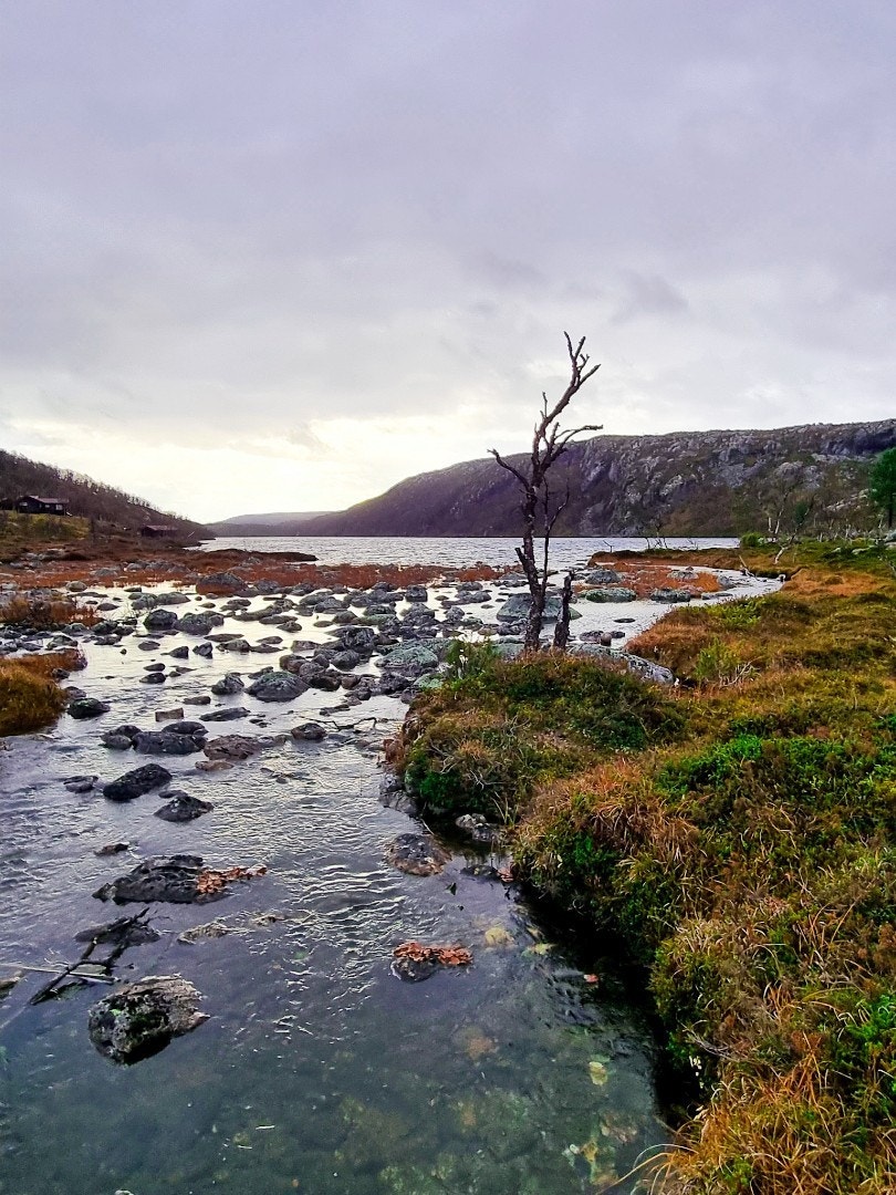 Fint fiskevann en kort gåtur fra hytten Galleribilde