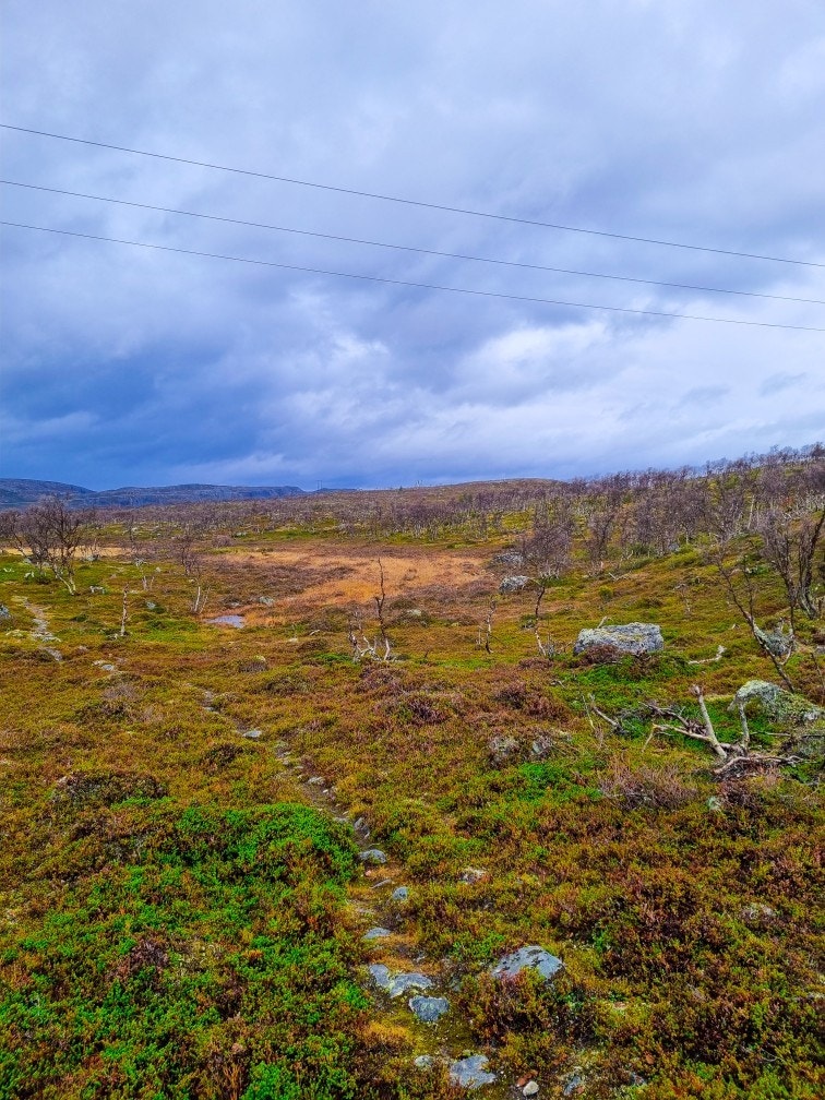 Store jaktområder rett utenfor hyttedøren Galleribilde