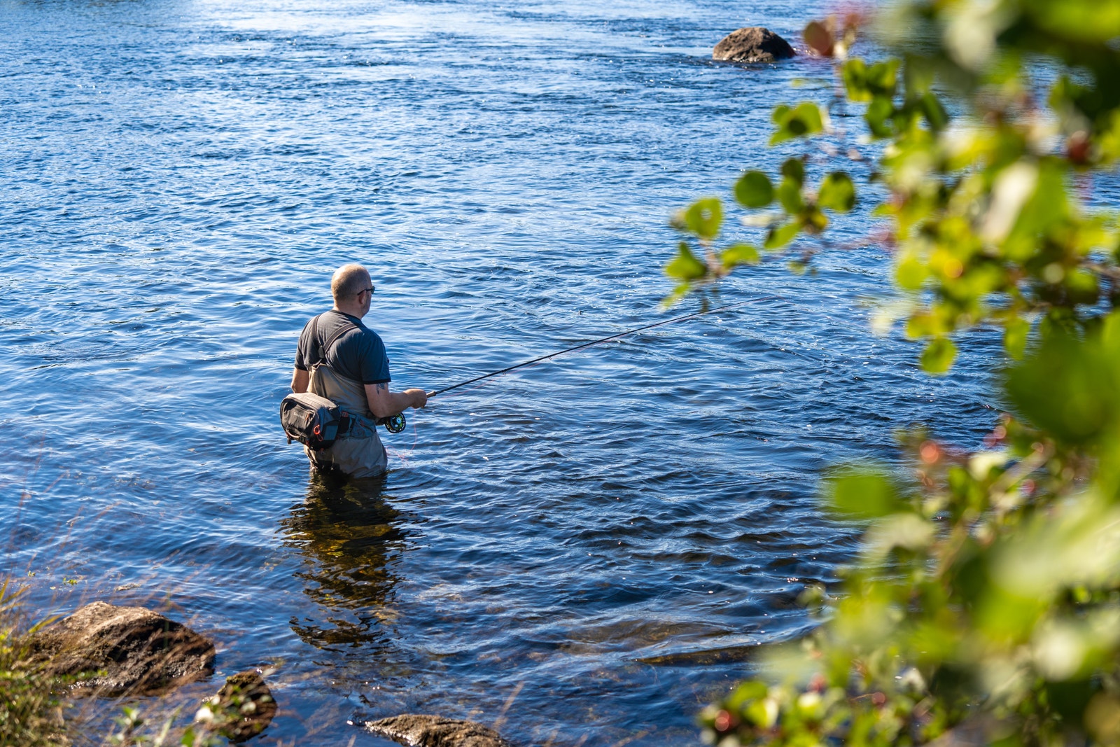 Laksefiske i Tengselva Galleribilde