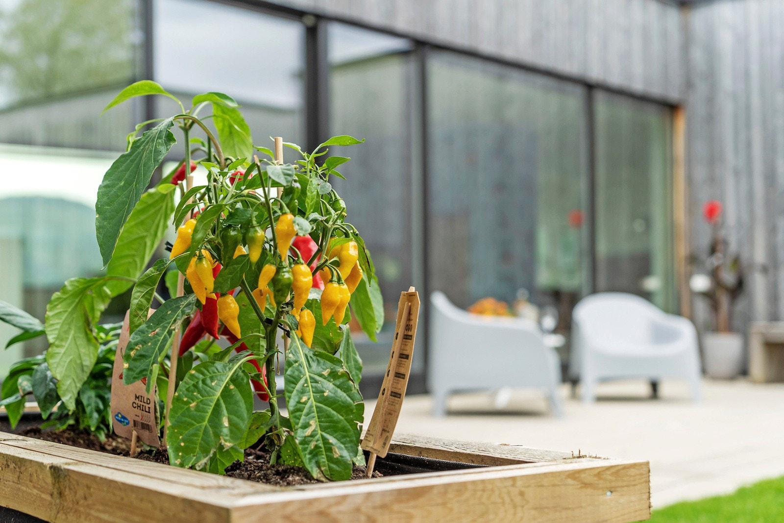 Her kan man plukke råvarer til frokostbordet i egen hage om man ønsker Galleribilde