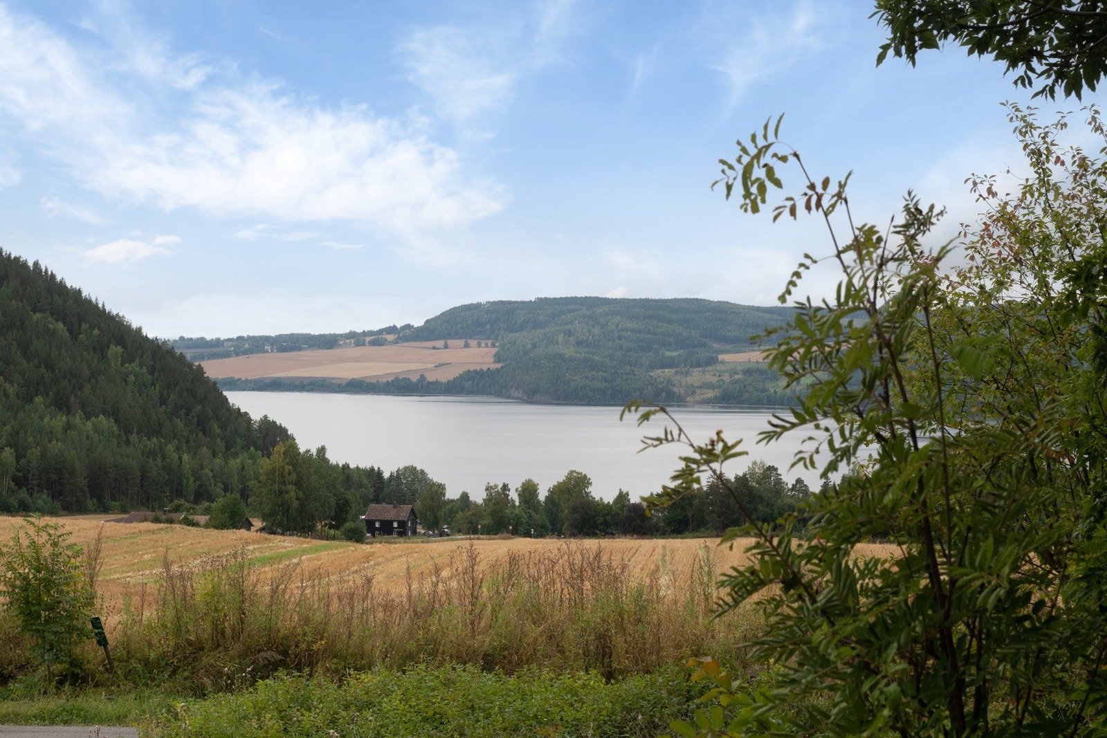 Flott utsikt ut over Neslandet og Furnesfjorden. Galleribilde