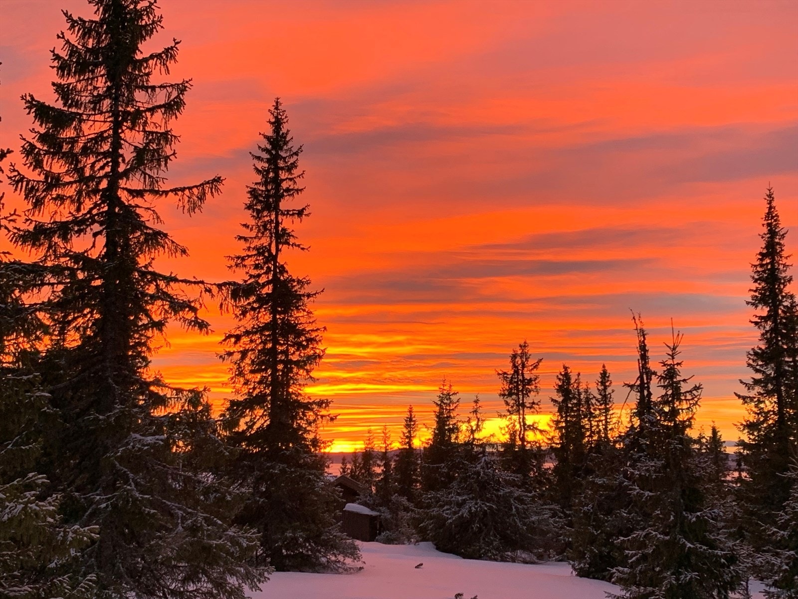 4413sol.jpg Galleribilde