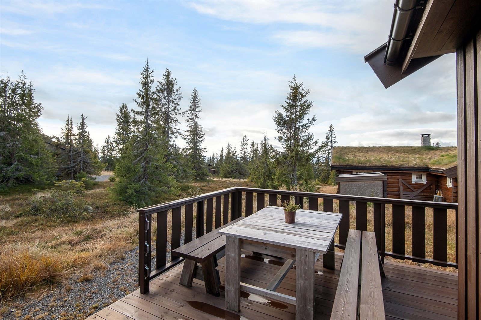 Her kan du slappe av i fred og ro i hytteveggen og følge sola. Galleribilde