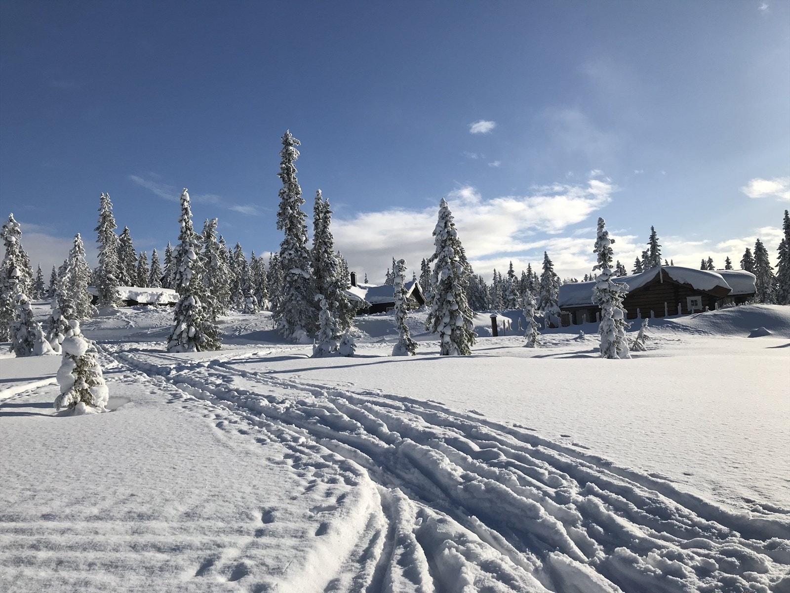 Ett av de mest populære områdene og ypperlig utgangspunkt for korte eller lange skiturer. Løypenettet ligger i nærområdet til hytta. Galleribilde