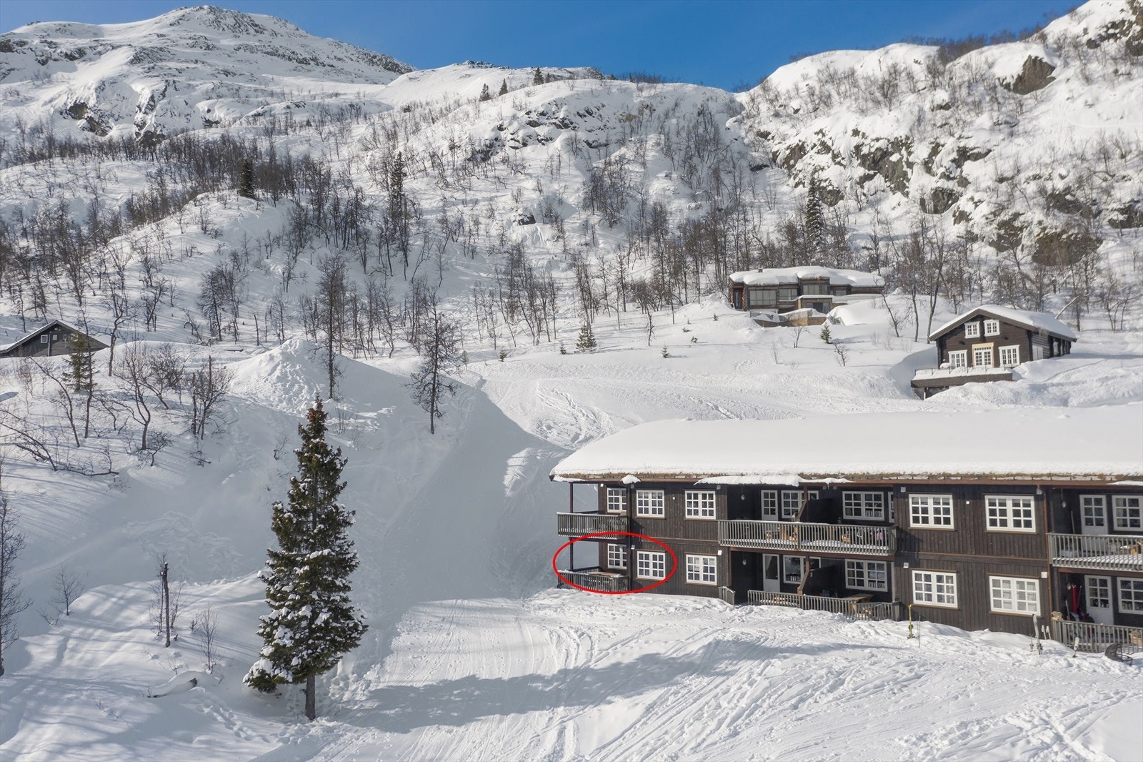 Ski inn / ski ut via lite trafikert transportløype like utenfor leiligheten Galleribilde