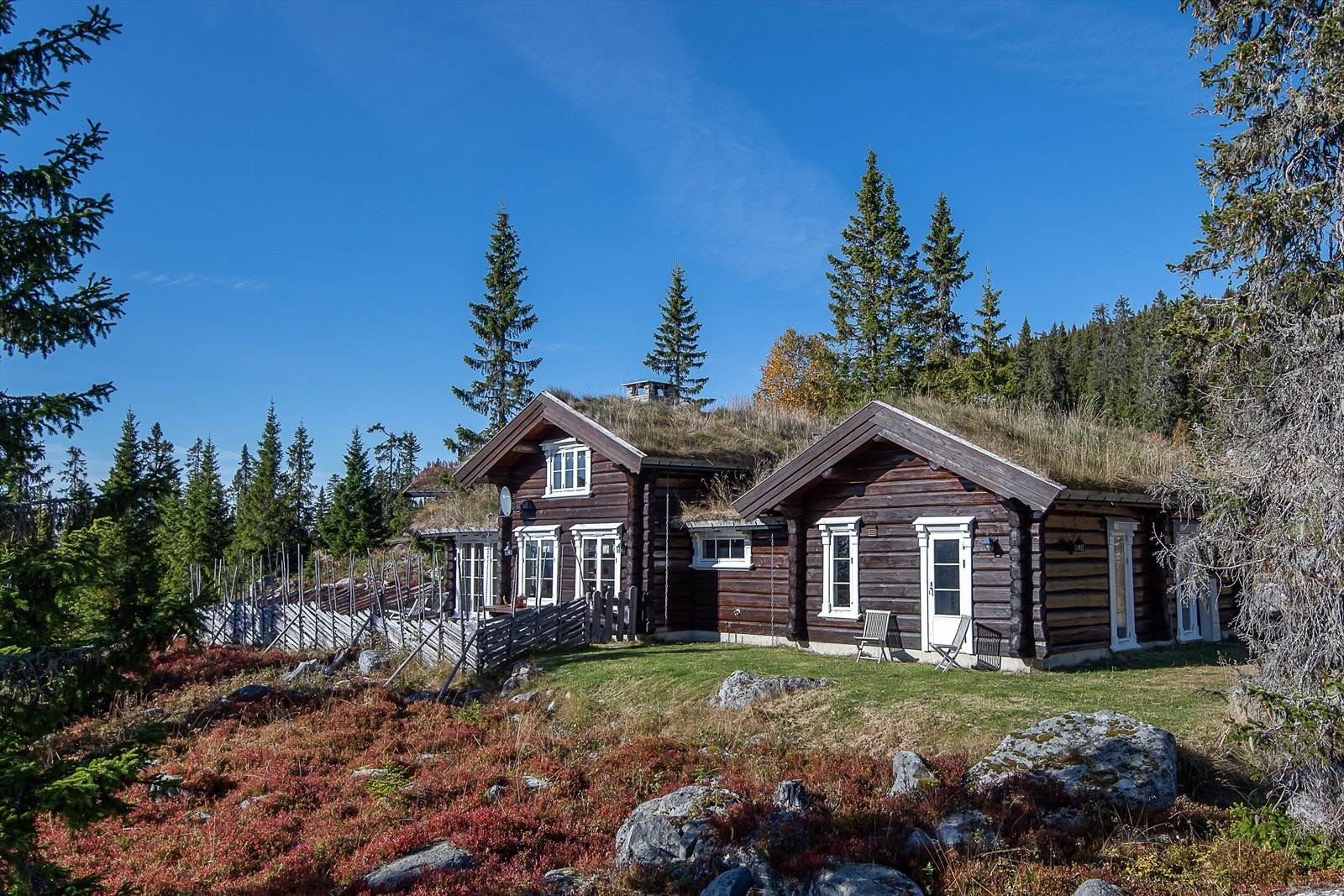 Omgitt av vakkert naturlandskap. Galleribilde
