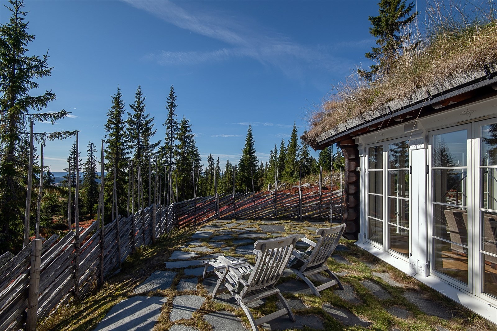 Finn roen med vakkert utsyn. Galleribilde