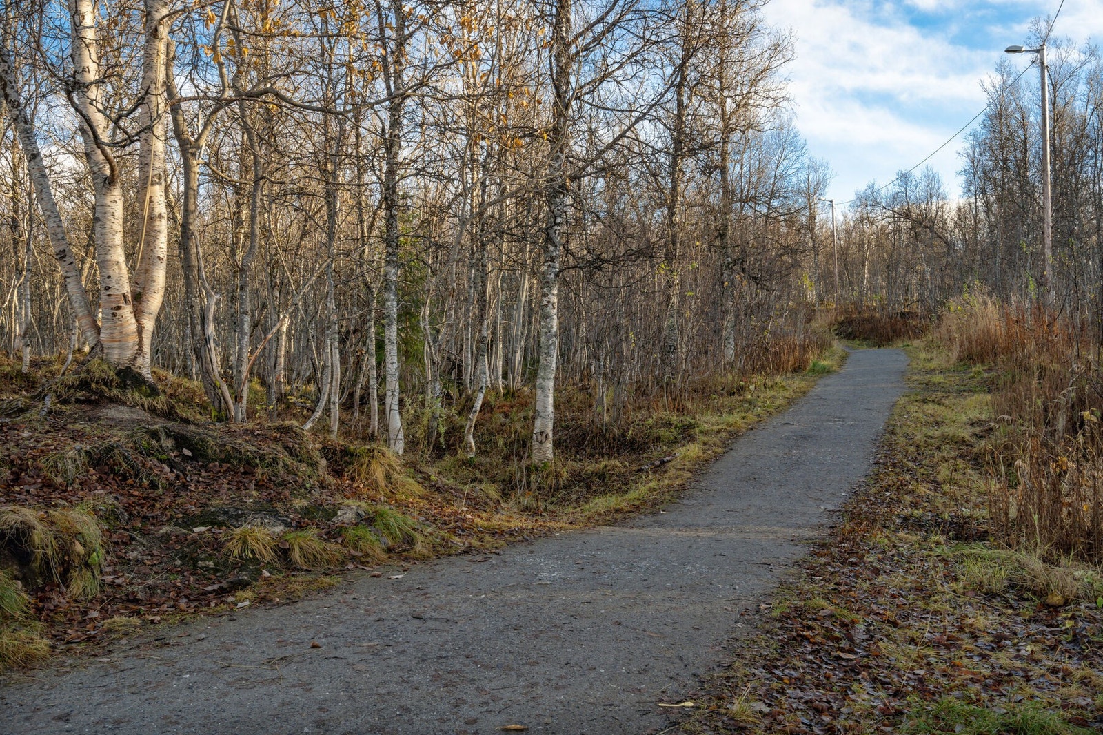 Denne kan benyttes året rundt, enten man liker å gå på ski eller gå/joggeturer i sommerhalvåret Galleribilde