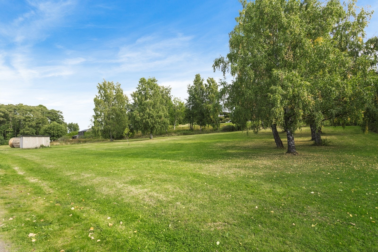 Fri-/ grøntområde vis-a-vis eiendommen. Galleribilde