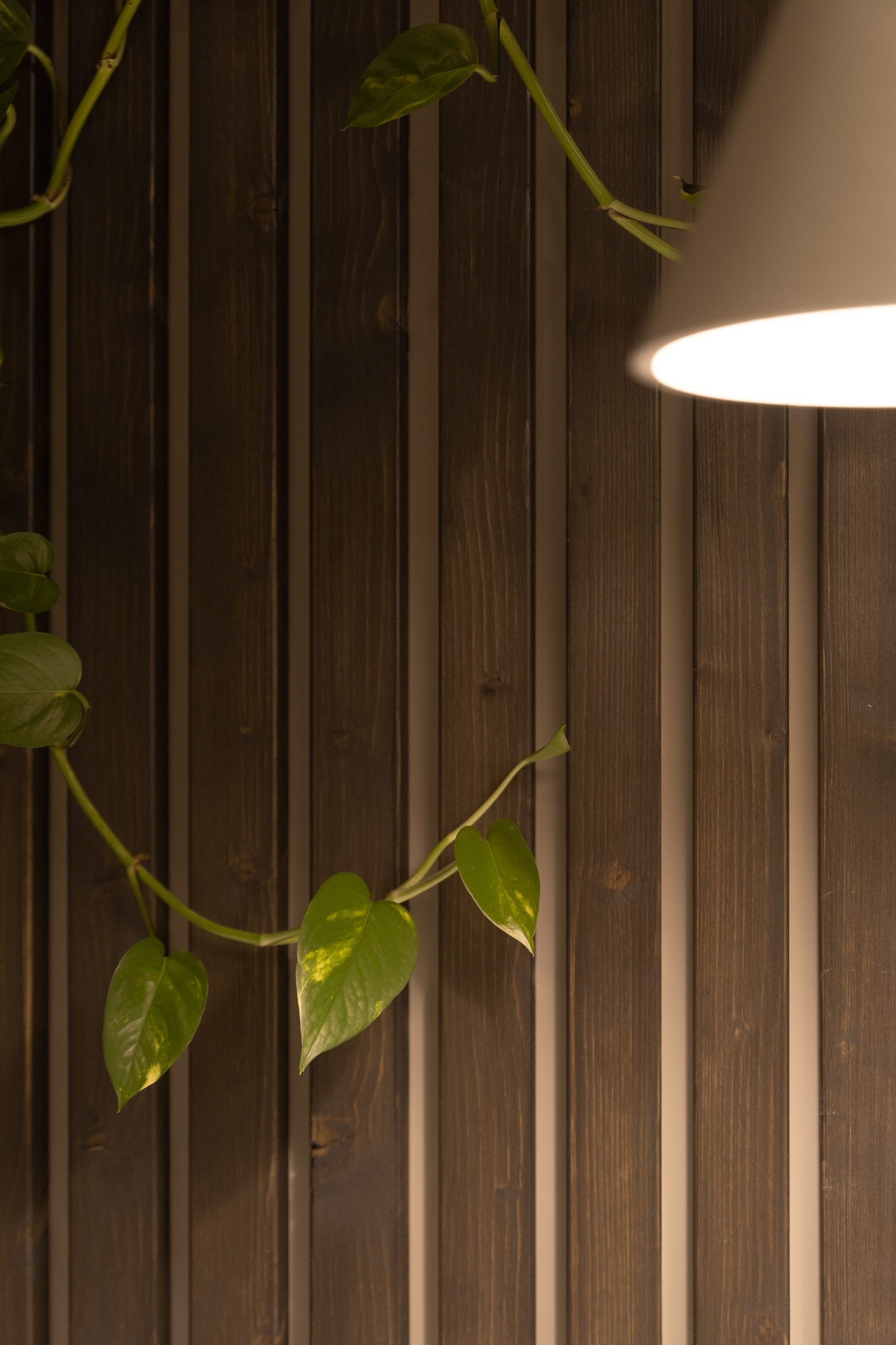 Spiler som strekker seg fra vegg til tak med stemningslys over badekaret Galleribilde