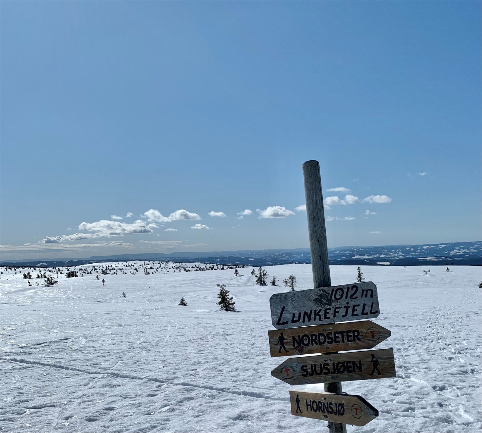 Bilde fra Lunkefjell Galleribilde