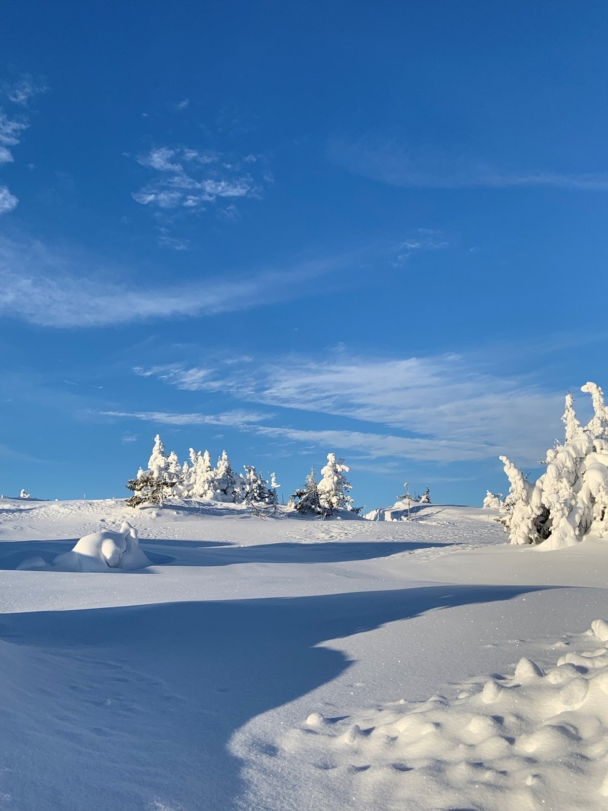 Vinteridyll fra Sjusjøen Galleribilde