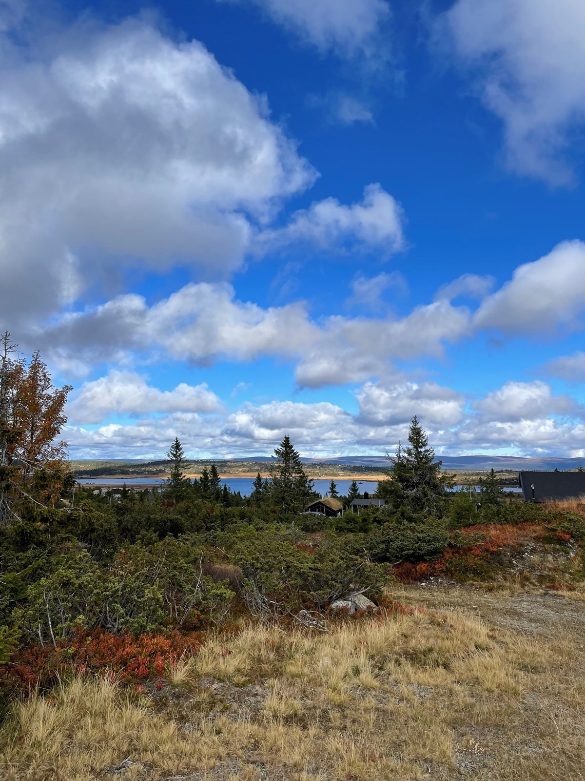 Utsiktsbilde fra nærmiljøet Galleribilde