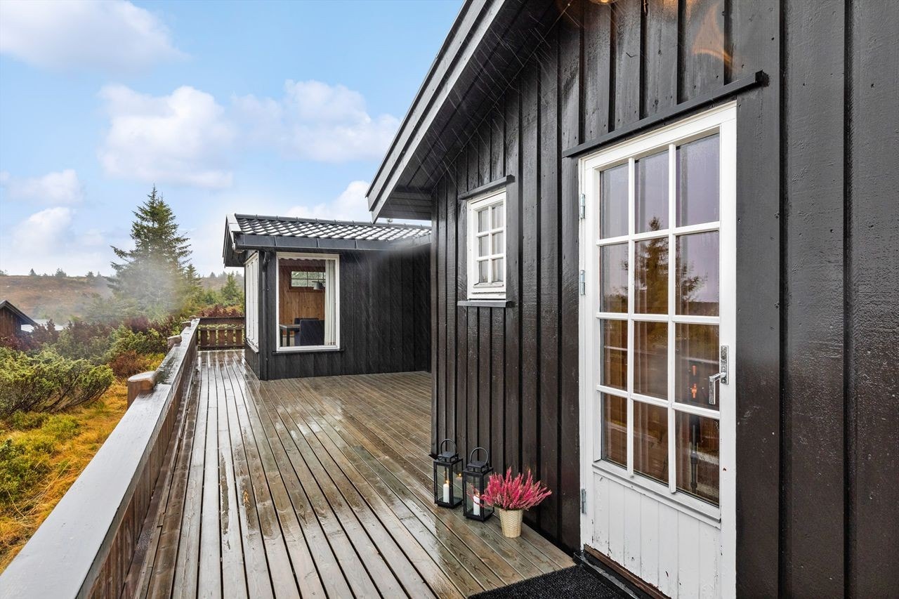 Detaljer fra fasade og den store terrassen Galleribilde