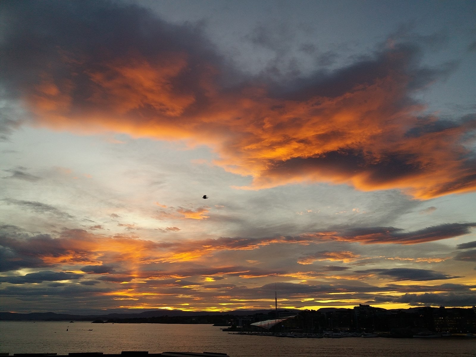 Privat bilde. Galleribilde