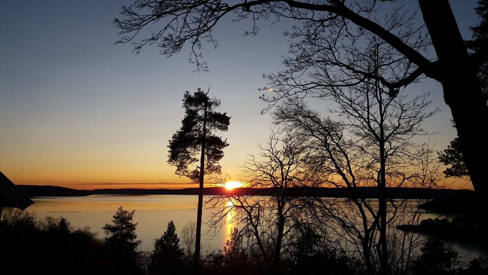 Privat bilde. Galleribilde