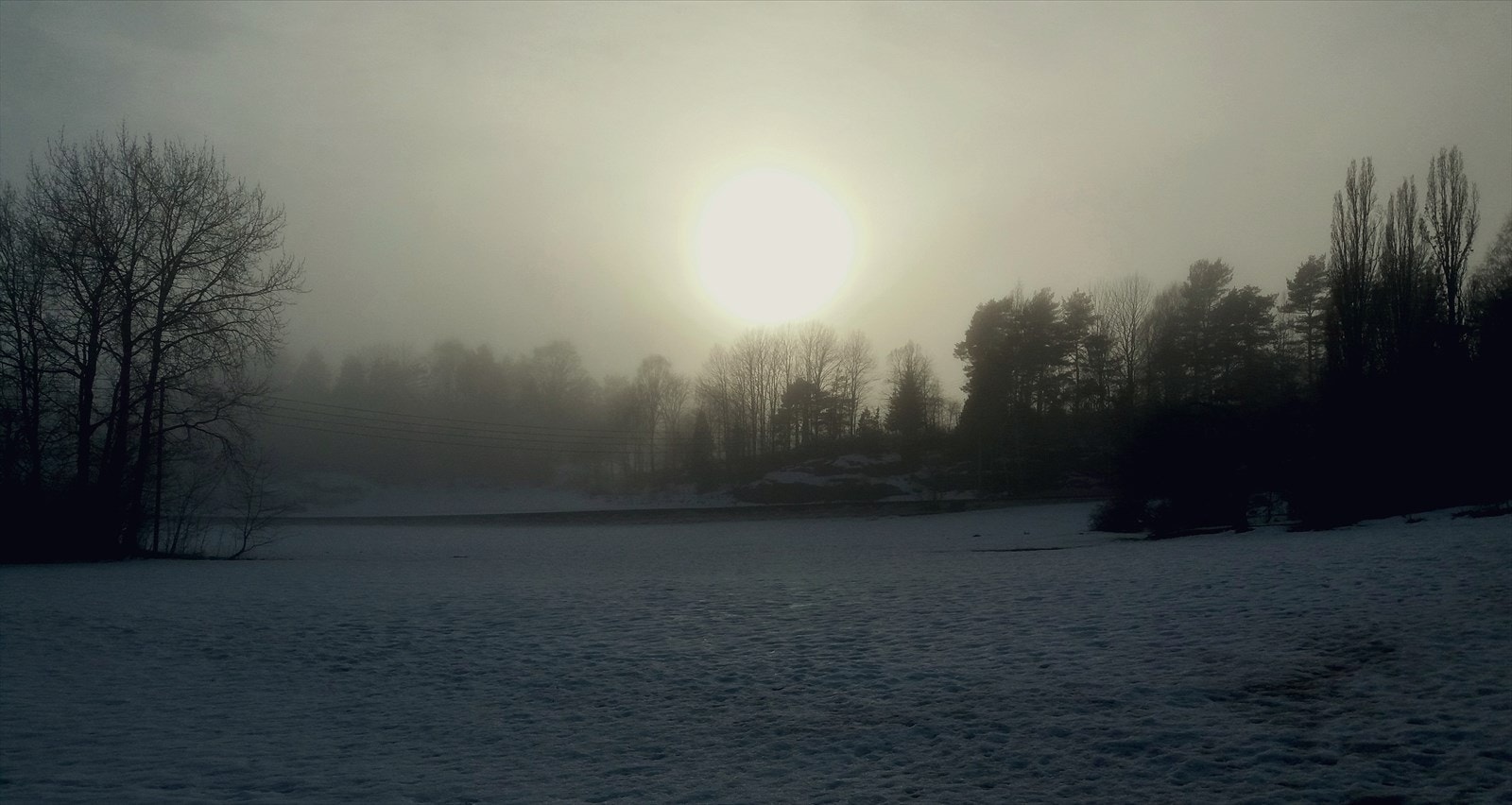 Privat bilde. Galleribilde