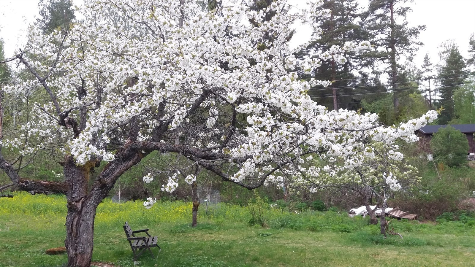 Privat bilde. Galleribilde