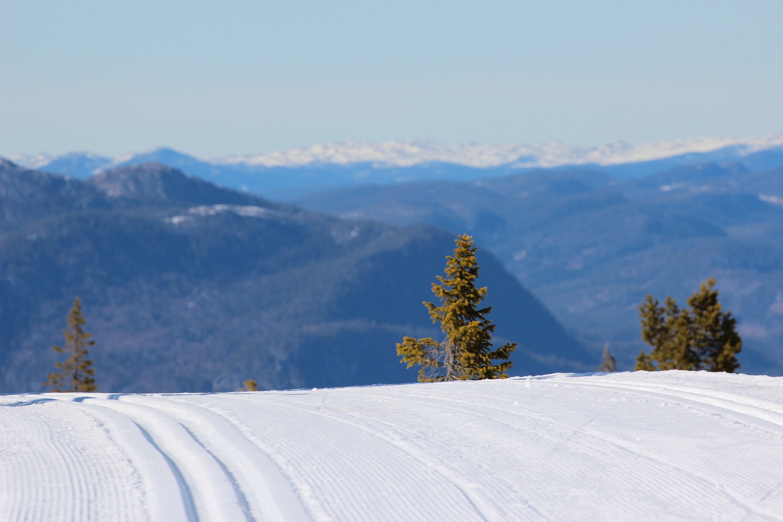 Grohølsfjellrunden Galleribilde