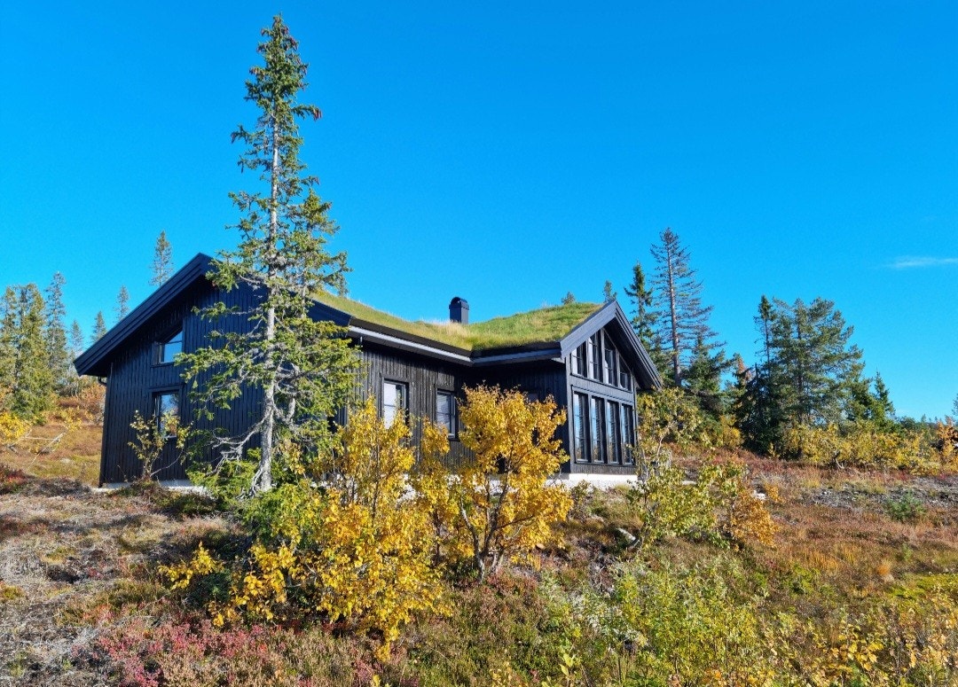 Ulike varianter av Numehytta Galleribilde