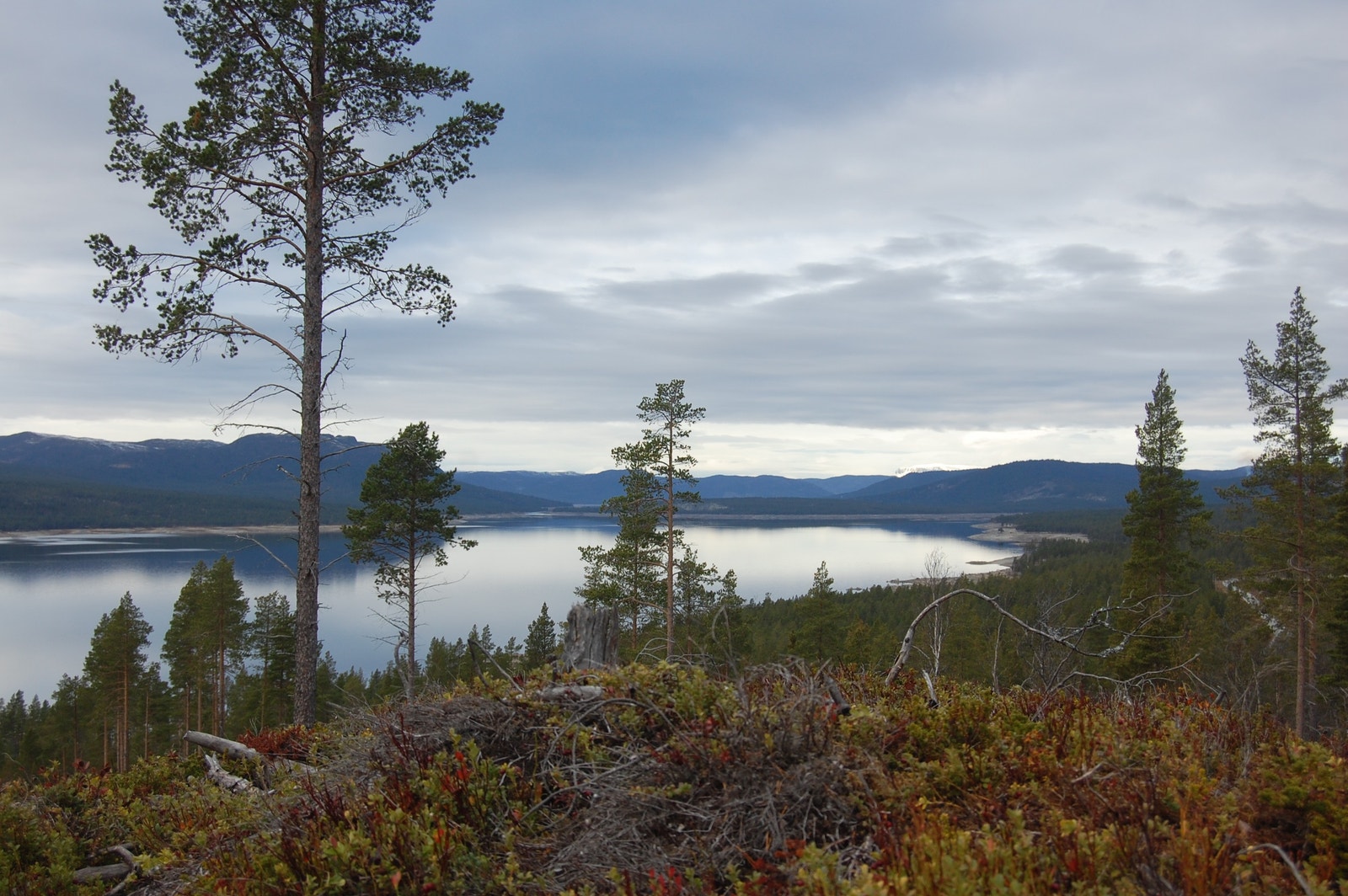 Fantastisk utsikt til Tunhovdfjorden og Hardangerjøkulen.
Tilgang til skiløyper med nærhet rett over hyttefeltet. Galleribilde