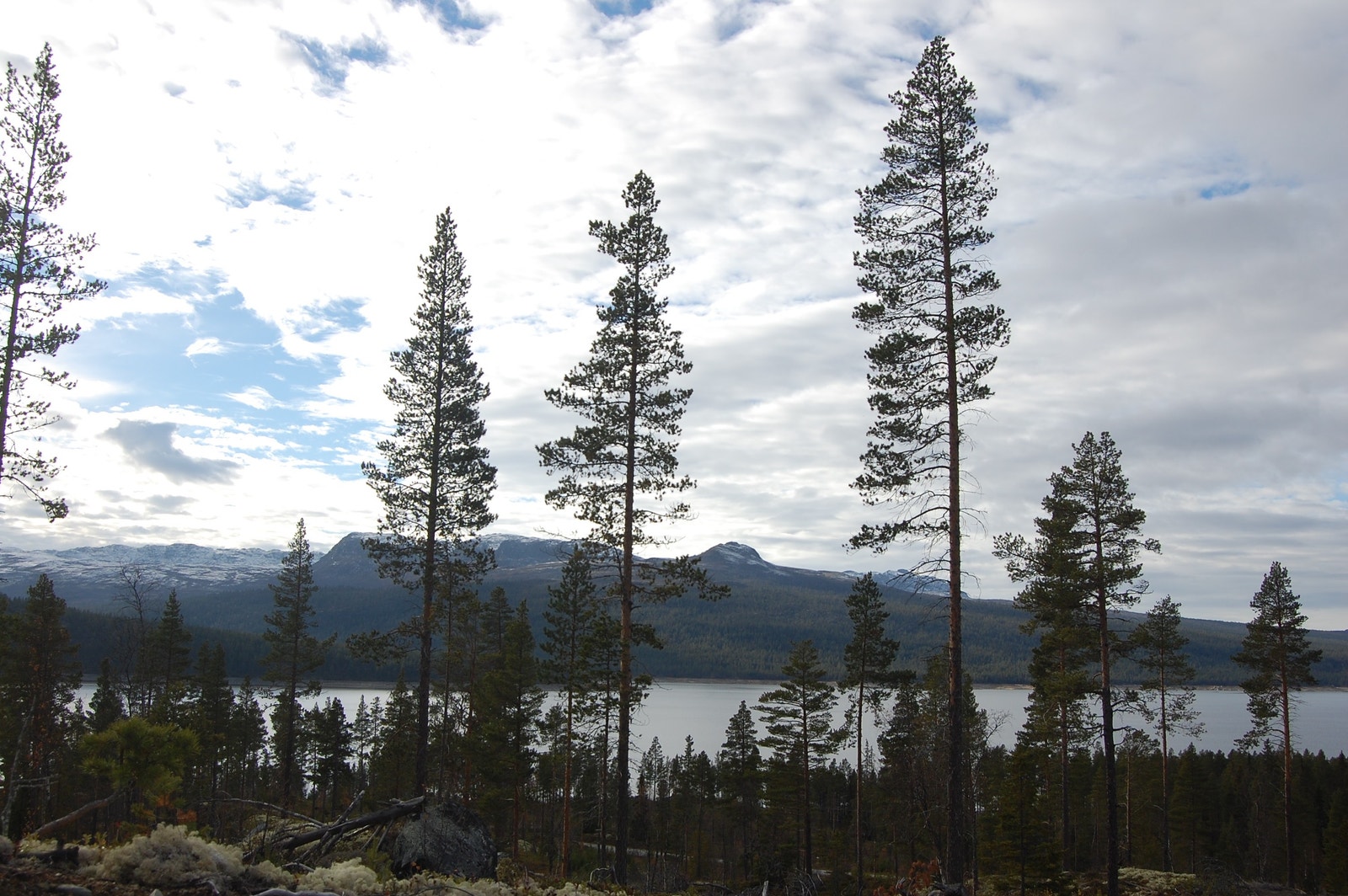 Tunhovdfjorden sett fra tomtefeltet. Galleribilde