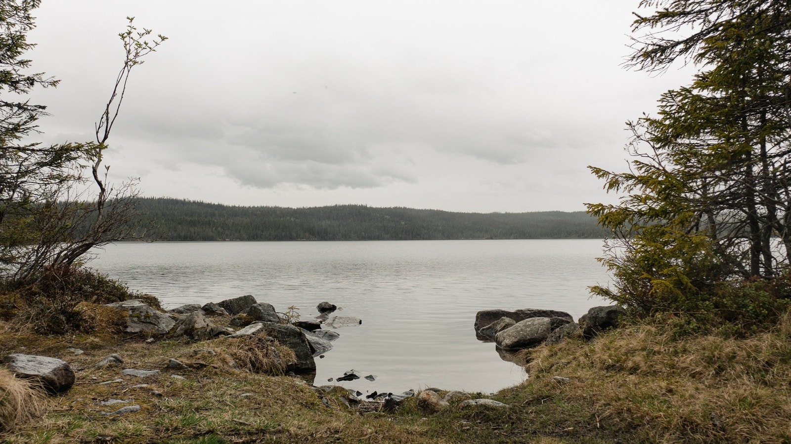 Fra tomteområdet Galleribilde