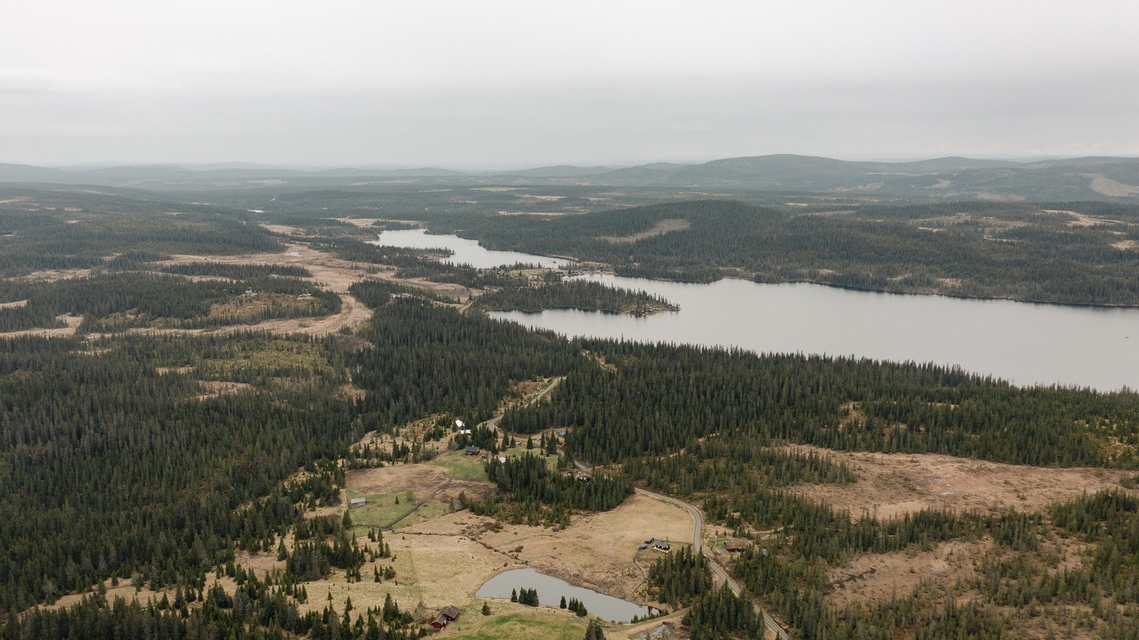 Fra tomteområdet Galleribilde