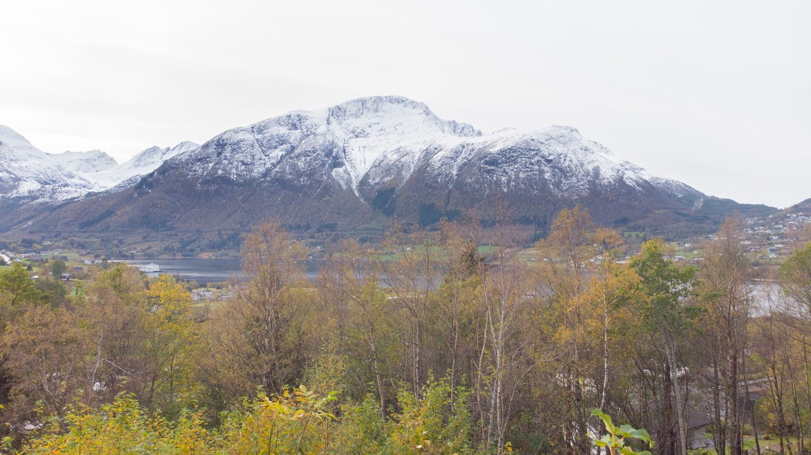 Utsikt. Galleribilde