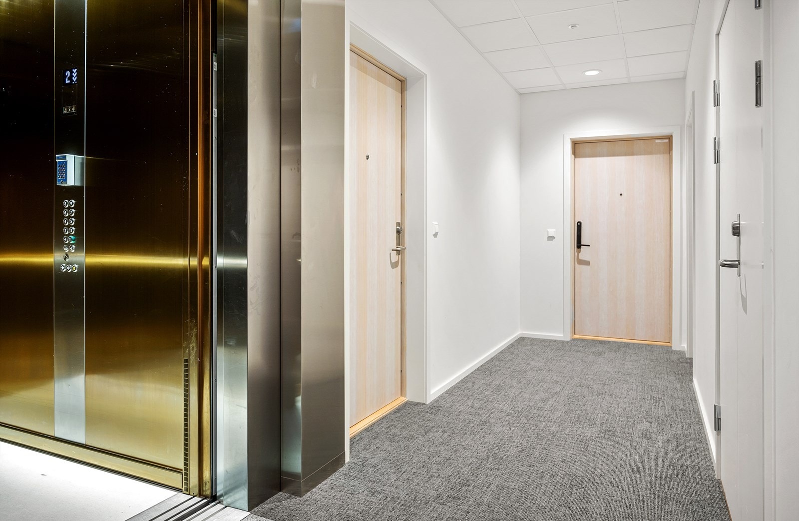Heisadkomst fra både garasjekjeller og inngangsparti. Galleribilde