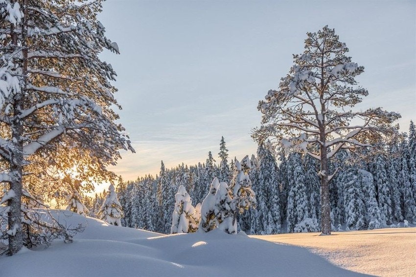 Kort avstand til herlige turområder i Bymarka.